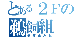 とある２Ｆの鵜飼組（愚痴まみれ）