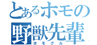 とあるホモの野獣先輩（ホモグル）