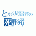 とある周景萍の死胖豬（笨蛋）