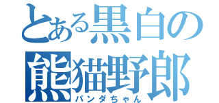 とある黒白の熊猫野郎（パンダちゃん）