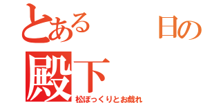 とある　　日の殿下（松ぼっくりとお戯れ）