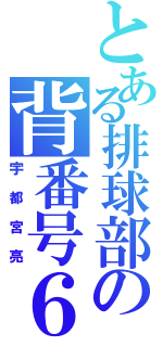 とある排球部の背番号６（宇都宮亮）