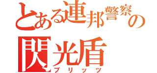 とある連邦警察の閃光盾（ブリッツ）