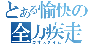 とある愉快の全力疾走（カオスタイム）