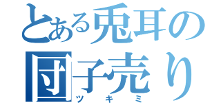 とある兎耳の団子売り（ツキミ）