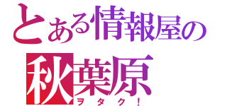 とある情報屋の秋葉原（ヲタク！）