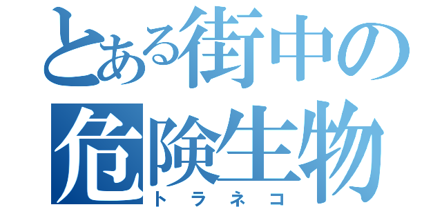 とある街中の危険生物（トラネコ）