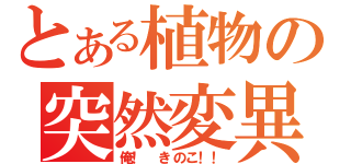 とある植物の突然変異（俺！　きのこ！！）