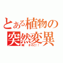 とある植物の突然変異（俺！　きのこ！！）