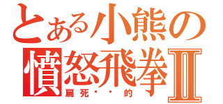 とある小熊の憤怒飛拳Ⅱ（扁死你丫的）