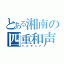 とある湘南の四重和声（ハルモニア）