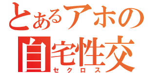 とあるアホの自宅性交（セクロス）