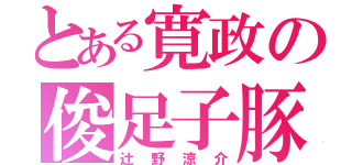 とある寛政の俊足子豚（辻野涼介）