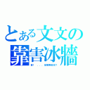 とある文文の靠害冰牆（耶！ ．．．點解無助攻？）