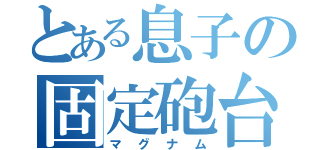 とある息子の固定砲台（マグナム）