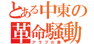 とある中東の革命騒動（アラブの春）