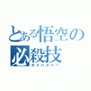 とある悟空の必殺技（カメハメハー）