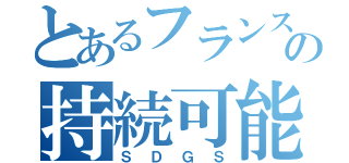 とあるフランスの持続可能な開発目標（ＳＤＧＳ）