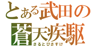 とある武田の蒼天疾駆（さるとびさすけ）