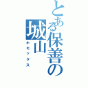 とある保善の城山（ホモックス）