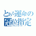 とある運命の冠位指定（グランドオーダー）