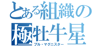とある組織の極牡牛星（ブル・マグニスター）