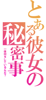 とある彼女の秘密事（一体何をしているんだ？）