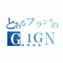 とあるフランス軍のＧＩＧＮ（特殊部隊）