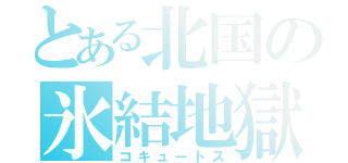 とある北国の氷結地獄（コキュートス）