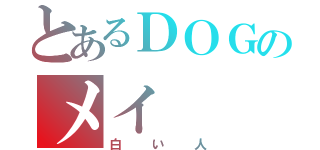 とあるＤＯＧのメイ（白い人）