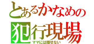 とあるかなめの犯行現場（ママには隠せない）