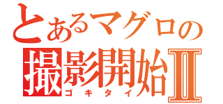 とあるマグロの撮影開始Ⅱ（ゴキタイ）