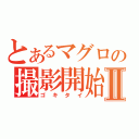 とあるマグロの撮影開始Ⅱ（ゴキタイ）