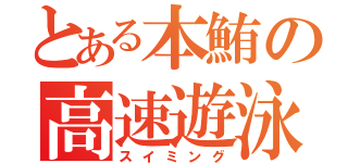 とある本鮪の高速遊泳（スイミング）