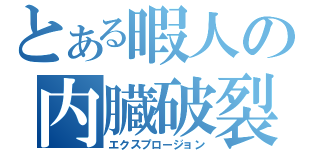 とある暇人の内臓破裂（エクスプロージョン）