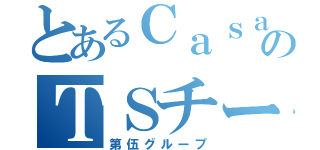 とあるＣａｓａのＴＳチーム（第伍グループ）