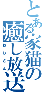 とある家猫の癒し放送（ねむさん）