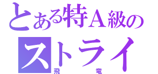 とある特Ａ級のストライダー（飛竜）