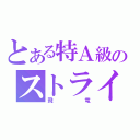 とある特Ａ級のストライダー（飛竜）