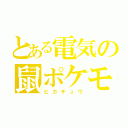 とある電気の鼠ポケモン（ピカチュウ）