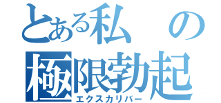 とある私の極限勃起（エクスカリバー）