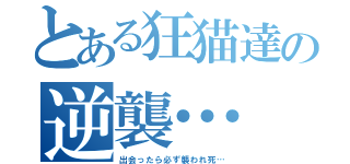 とある狂猫達の逆襲…（出会ったら必ず襲われ死…）