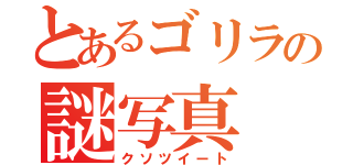 とあるゴリラの謎写真（クソツイート）