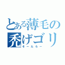 とある薄毛の禿げゴリラ（そーたろー）