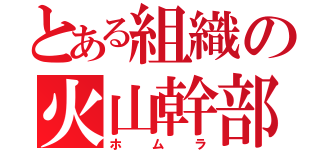 とある組織の火山幹部（ホムラ）