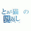 とある猫の恩返し（バロン）