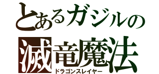 とあるガジルの滅竜魔法（ドラゴンスレイヤー）