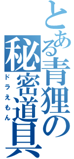 とある青狸の秘密道具（ドラえもん）