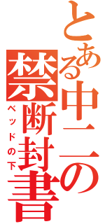 とある中二の禁断封書（ベッドの下）