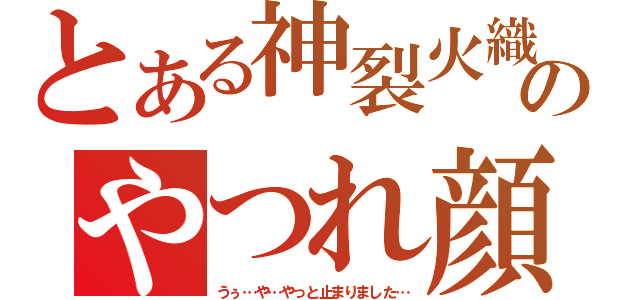 とある神裂火織のやつれ顔（うぅ…や…やっと止まりました…）